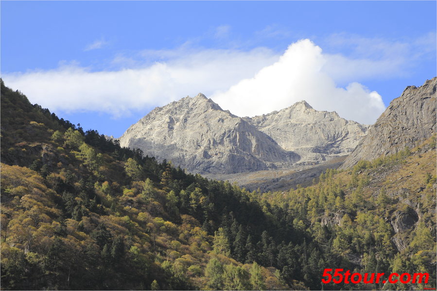 毕棚沟青山